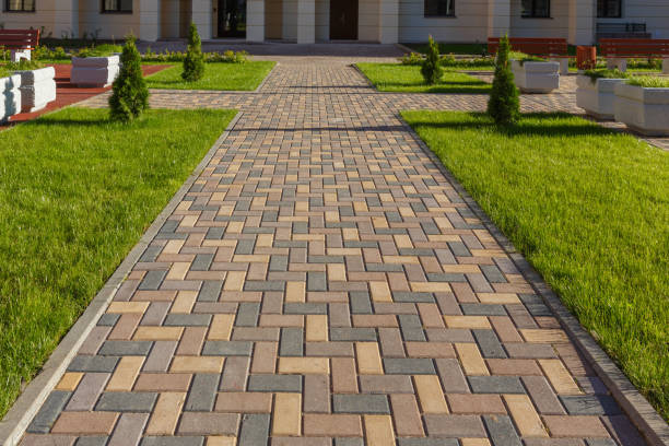 Best Driveway Paver Repair  in Newk, AR